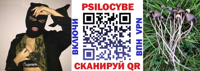Псилоцибиновые грибы Cubensis  Купить где  Углич 